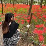 ヒメ日記 2025/10/13 01:53 投稿 小泉 つくし気品漂うお嬢様系Ｍ ファーストクラス ルビー