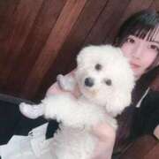 小泉 つくし気品漂うお嬢様系Ｍ 良ければ見てください🥺 ファーストクラス ルビー