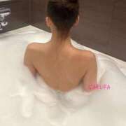 ヒメ日記 2024/12/10 17:01 投稿 春音 さくら　美少女アイドル系か ファーストクラス ルビー