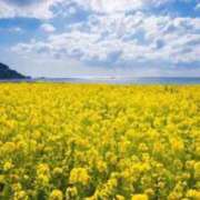 ヒメ日記 2025/04/24 19:53 投稿 森乃 ばんび　　感度抜群美少女 ファーストクラス ルビー