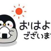 ヒメ日記 2024/11/07 08:23 投稿 秋山 るい ファーストクラス ルビー