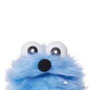 ヒメ日記 2024/12/17 08:03 投稿 秋山 るい ファーストクラス ルビー