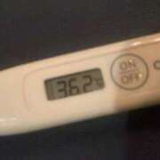 ヒメ日記 2024/12/21 08:43 投稿 秋山 るい ファーストクラス ルビー