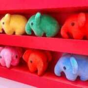 ヒメ日記 2024/12/24 13:22 投稿 秋山 るい ファーストクラス ルビー