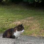 ヒメ日記 2025/07/23 08:31 投稿 りょう 梅田アバンチュール