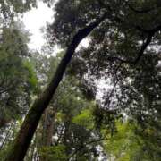 ヒメ日記 2025/10/16 09:44 投稿 りょう 梅田アバンチュール