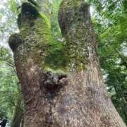 ヒメ日記 2025/10/17 07:44 投稿 りょう 梅田アバンチュール