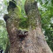 ヒメ日記 2025/10/17 08:02 投稿 りょう 梅田アバンチュール