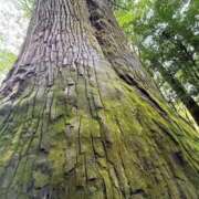 ヒメ日記 2025/10/27 08:54 投稿 りょう 梅田アバンチュール