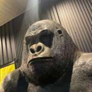 りょう 🙏 梅田アバンチュール