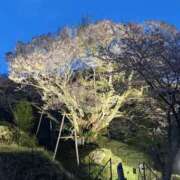 ヒメ日記 2026/04/13 09:12 投稿 りょう 梅田アバンチュール