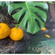 ヒメ日記 2024/12/22 12:15 投稿 あやか 奥鉄オクテツ大阪