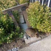 ヒメ日記 2025/02/01 08:08 投稿 あやか 奥鉄オクテツ大阪