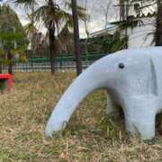 ヒメ日記 2025/02/25 22:25 投稿 あやか 奥鉄オクテツ大阪