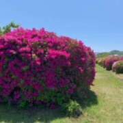 ヒメ日記 2025/04/30 08:35 投稿 あやか 奥鉄オクテツ大阪