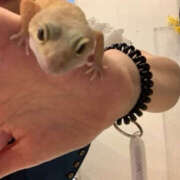 ヒメ日記 2025/07/11 21:46 投稿 あやか 奥鉄オクテツ大阪