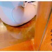 ヒメ日記 2025/09/07 18:46 投稿 あやか 奥鉄オクテツ大阪