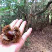 ヒメ日記 2025/09/28 08:50 投稿 あやか 奥鉄オクテツ大阪