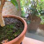 ヒメ日記 2025/12/26 14:19 投稿 あやか 奥鉄オクテツ大阪