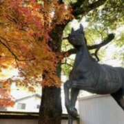 ヒメ日記 2026/01/03 09:10 投稿 あやか 奥鉄オクテツ大阪