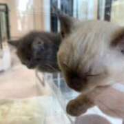 ヒメ日記 2026/04/01 09:26 投稿 あやか 奥鉄オクテツ大阪