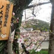 ヒメ日記 2026/04/06 08:08 投稿 あやか 奥鉄オクテツ大阪