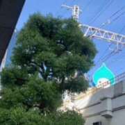 ヒメ日記 2026/04/21 15:42 投稿 あやか 奥鉄オクテツ大阪