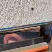 ヒメ日記 2026/10/23 10:06 投稿 あやか 奥鉄オクテツ大阪