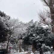 ヒメ日記 2026/02/08 13:53 投稿 れいか ニューグランド