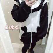 ヒメ日記 2025/01/21 12:13 投稿 こはく 新横浜ちゃんこ