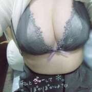 ヒメ日記 2025/02/16 11:53 投稿 こはく 新横浜ちゃんこ