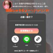 ヒメ日記 2025/02/19 12:53 投稿 こはく 新横浜ちゃんこ