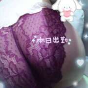 ヒメ日記 2025/03/10 12:13 投稿 こはく 新横浜ちゃんこ