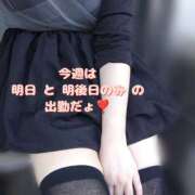 ヒメ日記 2025/03/11 16:33 投稿 こはく 新横浜ちゃんこ