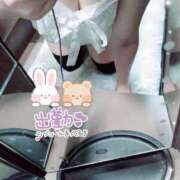 ヒメ日記 2025/03/23 12:04 投稿 こはく 新横浜ちゃんこ