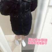 ヒメ日記 2025/04/07 16:51 投稿 こはく 新横浜ちゃんこ