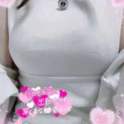 ヒメ日記 2025/04/08 12:21 投稿 こはく 新横浜ちゃんこ