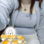 ヒメ日記 2025/04/17 11:43 投稿 こはく 新横浜ちゃんこ