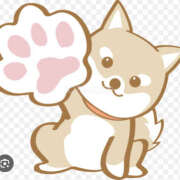 ヒメ日記 2025/05/16 14:43 投稿 こはく 新横浜ちゃんこ