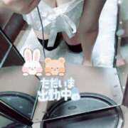 ヒメ日記 2025/05/20 12:43 投稿 こはく 新横浜ちゃんこ