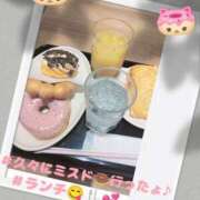 ヒメ日記 2025/06/08 15:03 投稿 こはく 新横浜ちゃんこ