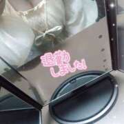 ヒメ日記 2025/06/13 20:23 投稿 こはく 新横浜ちゃんこ