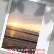 ヒメ日記 2025/06/14 16:43 投稿 こはく 新横浜ちゃんこ