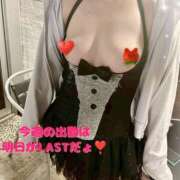 ヒメ日記 2025/07/02 20:13 投稿 こはく 新横浜ちゃんこ