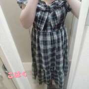 ヒメ日記 2025/07/03 19:23 投稿 こはく 新横浜ちゃんこ