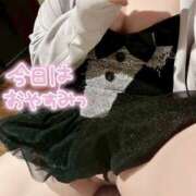 ヒメ日記 2025/08/09 14:03 投稿 こはく 新横浜ちゃんこ