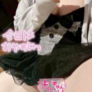 ヒメ日記 2025/08/29 08:23 投稿 こはく 新横浜ちゃんこ