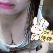 ヒメ日記 2025/09/12 21:03 投稿 こはく 新横浜ちゃんこ