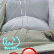 ヒメ日記 2025/09/15 21:43 投稿 こはく 新横浜ちゃんこ