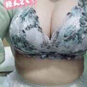 ヒメ日記 2025/09/23 14:33 投稿 こはく 新横浜ちゃんこ